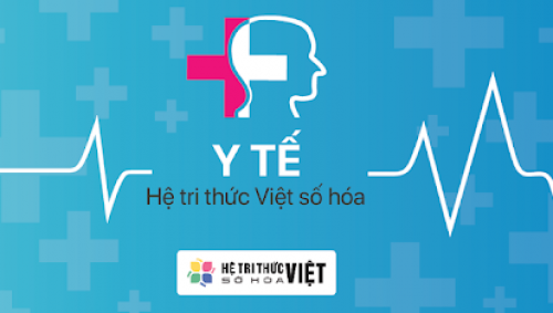 Triển khai xây dựng Hệ tri thức Việt số hóa y tế